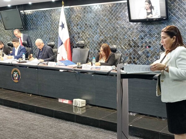 National Assembly's Government Commission Approves Two Bills on State Administration