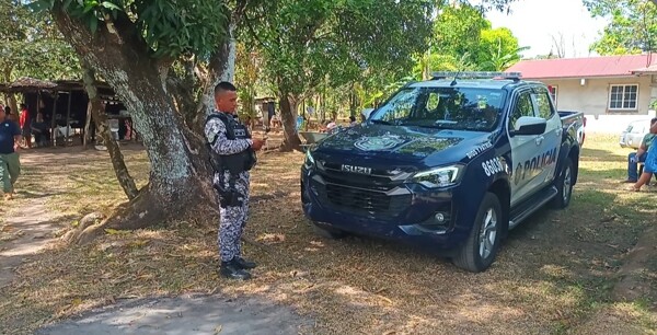 狂欢节悲剧：男子从棕榈树上坠落身亡