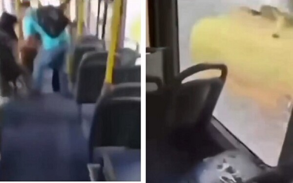 Tense Moments for Metrobus Passengers in Panama