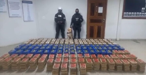 Панамская полиция изъяла 780 пакетов наркотиков, предназначенных для Бельгии
