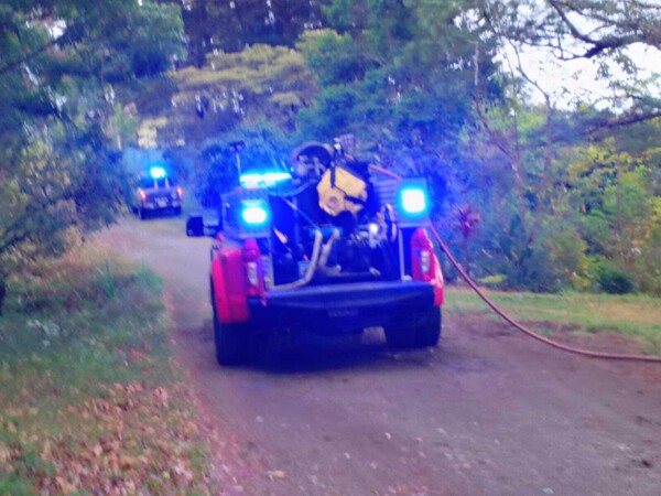 Bee Swarm Attacks Way of the Cross Participants in Panama
