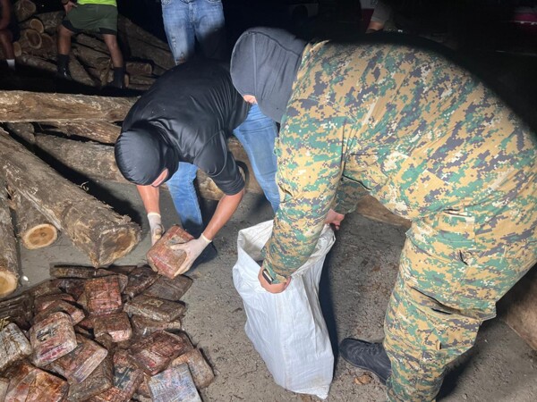 New Trafficker Modality: Hiding Drugs in Teak Boards