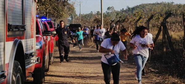 巴拿蜜蜂群导致苦路仪式陷入混乱