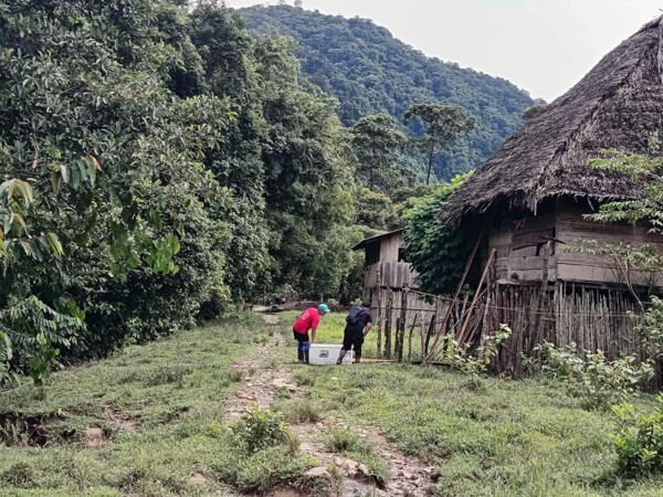 Panama Contains Whooping Cough Outbreak