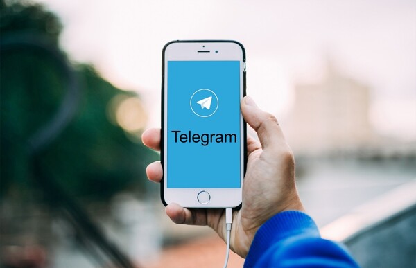 Потеряно более 200 000 медицинских назначений через Telegram в Панаме