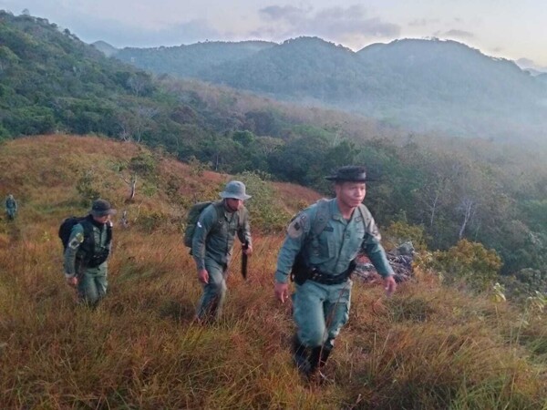 巴拿马保护区男子持链锯被捕