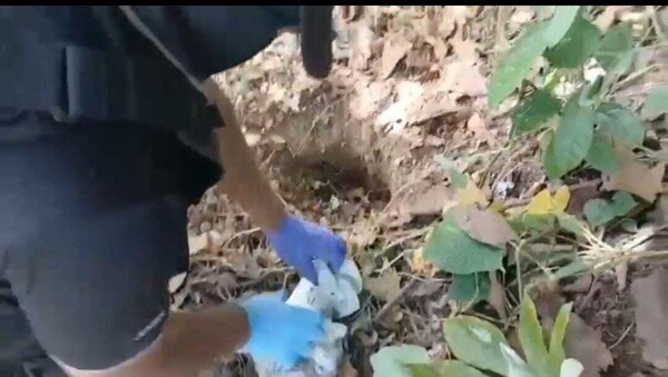 Police Apprehend 197 People in 'Firm Plan'