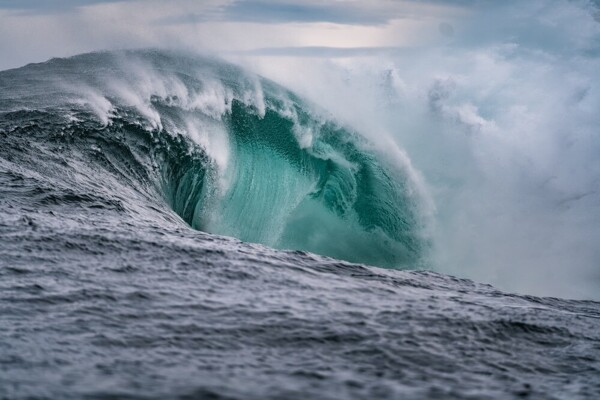 The Ocean Has Stopped Breathing in Panama: Scientists Warn of a Red Flag with Planetary Reach