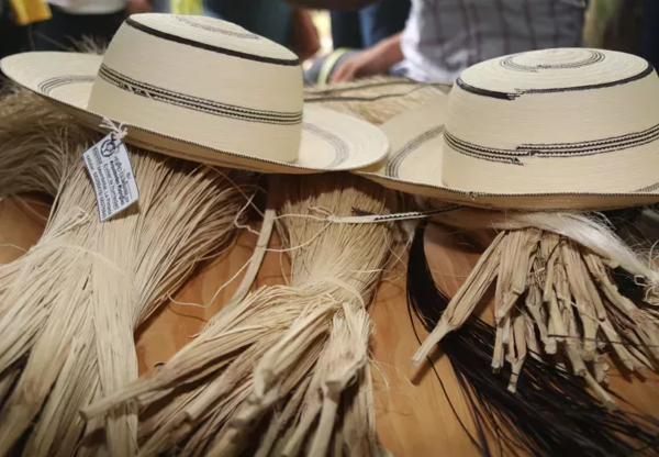 La Pintada Municipality Rejects Use of Pinta’o Hat as a Handbag