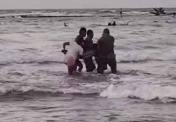 Dolphin Rescued on Costa Abajo Coast