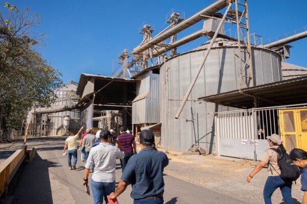 大米加工商协会请求批准进口以确保国家库存