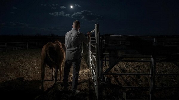 Fatal Farm Accident in Panama