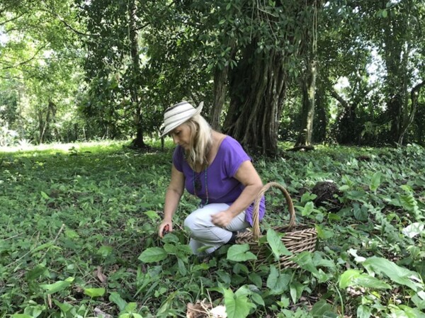 The Year of the Woman Farmer: Where Farming and Nourishment Meet