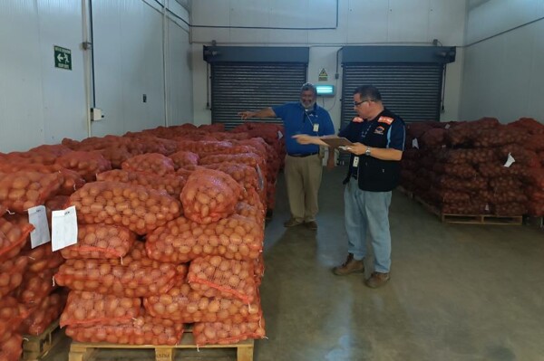 ACODECO and MINSA detect irregularities in onion commercialization in Herrera