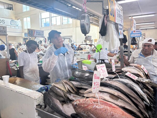 Inspections of Scales and Prices in Panama's Seafood Markets