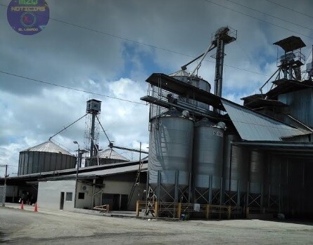 Security guard murdered in mill in Chiriquí province