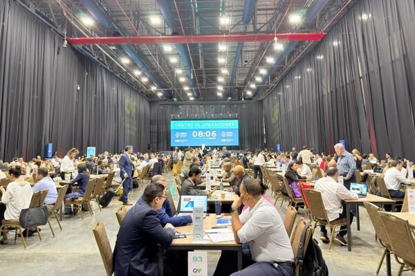 Businessmen from 34 Countries Reach Million-Dollar Agreements at CAF Business Forum