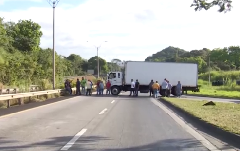 Panamanian Importers Block Market Access Over Onion Import Ban