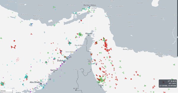 War: Global Consequences and Human Cost