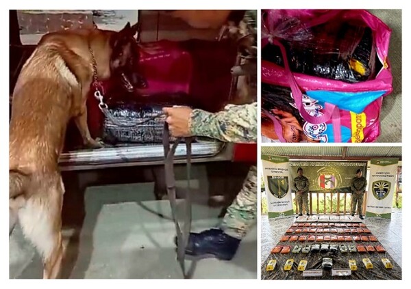 Decomisan alijo de droga en Panamá