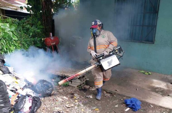Dengue Deaths in Panama Drop by 51.8%