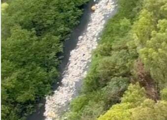 Panama Minister Calls River a Dumpsite Amidst Trash Crisis