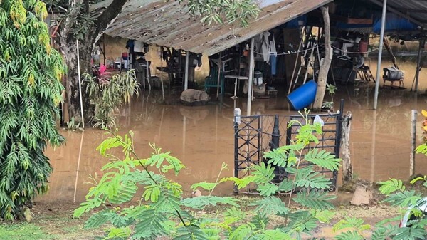 Azuero under water: families devastated by intense rains