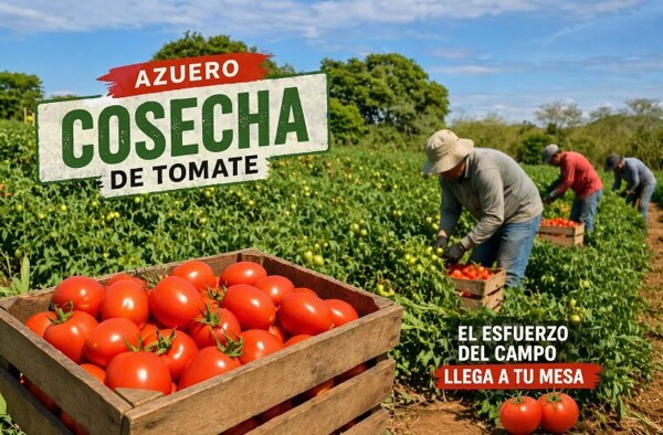 Soaring Diesel Prices Threaten Harvest in Panama