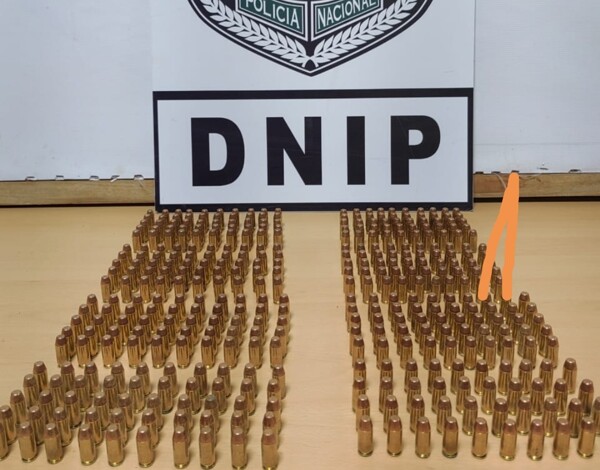 390 cartridges of various calibers seized in Panama