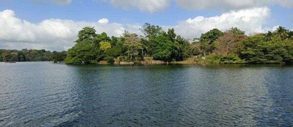 巴拿马水资源治理危机