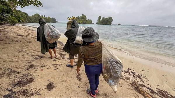 Panama Closes Escudo de Veraguas Island for One Year to Protect Ecosystems