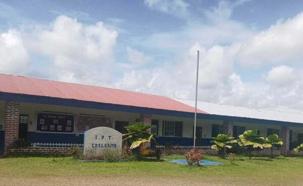 Woman handed over to court for embezzlement from parents' association in Panama