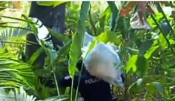 Panama Police Thwarts Arms and Drugs Smuggling into Prison