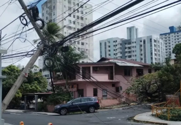Tree Falls on Power Lines in Carrasquilla