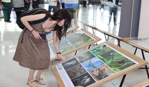 Exhibition "Our Protected Areas" Opens at Panama Airport