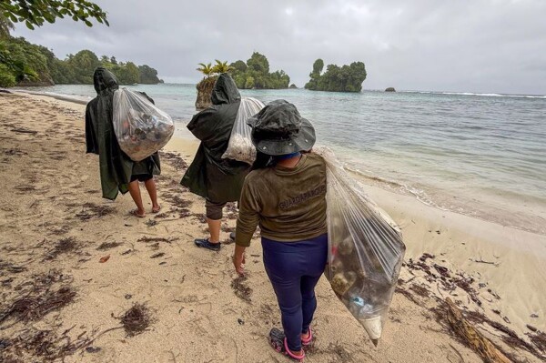 Panama's Ministry of the Environment Launches Operation to Restore Isla Escudo de Veraguas