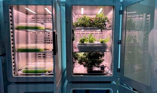 Innovative Electric Agriculture Method Proposed