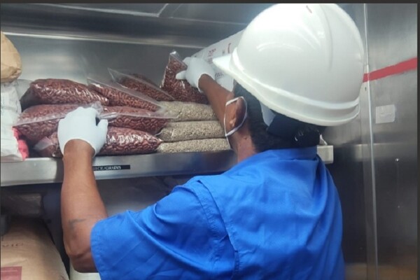 Inspecciones de cruceros en el puerto de Colón