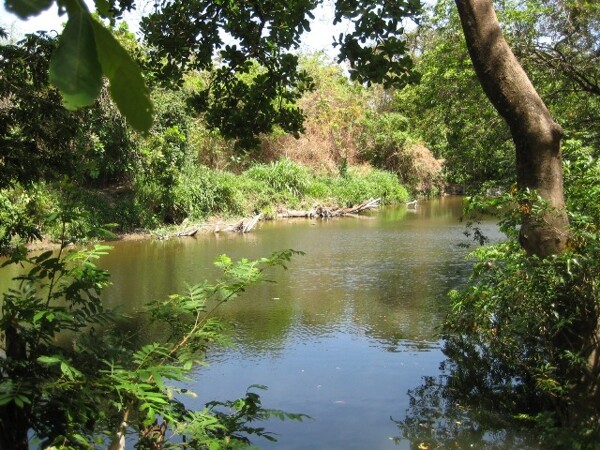 23 Acres in Penonome Panama For Sale