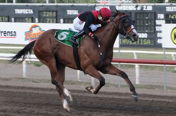 阿莱迪亚赢得埃里克·戈梅斯经典赛