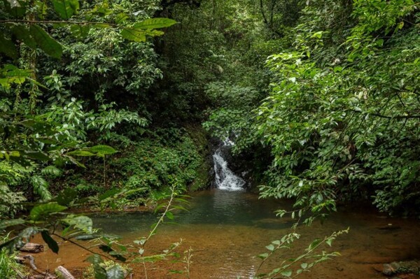 MiAMBIENTE Achieves Historic Fine Collection for La Villa River Pollution