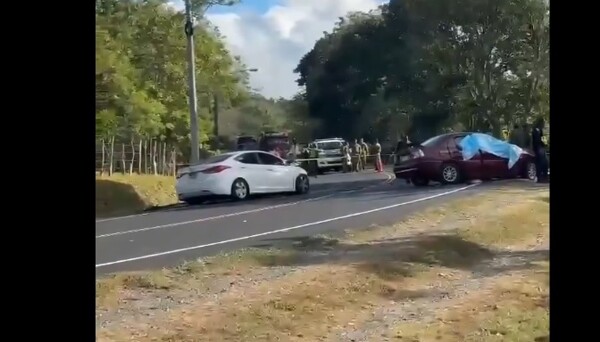 Fatal Crash on Pan-American Highway