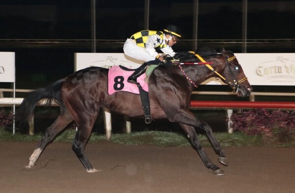 Буз Барук завоевывает Тройную Корону на ипподроме Президента Ремона