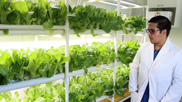 巴拿马大学开设受控环境农业实验室