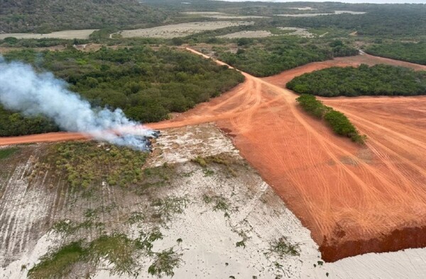 Уничтожение мангров в Панаме