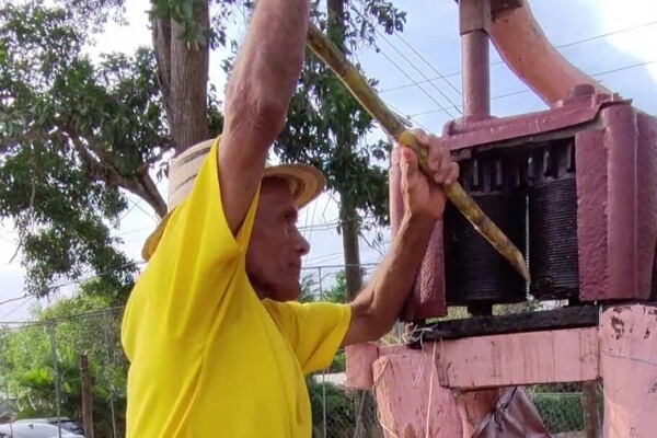 Agropaneleros in Panama Request Protective Norms