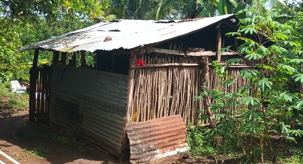Panama Family Builds Home for Leukemia-Stricken Daughter