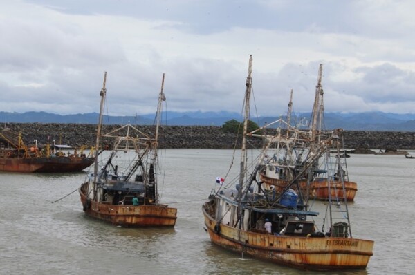 New Shrimp Plant in Vacamonte to Generate Up to 700 Jobs