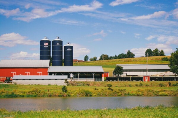 Панама Солидарио: как государственная программа изменит вашу жизнь